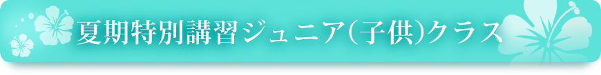 夏期特別講習ジュニア(子供)クラス 夏期特別講習ジュニア(子供)クラス
